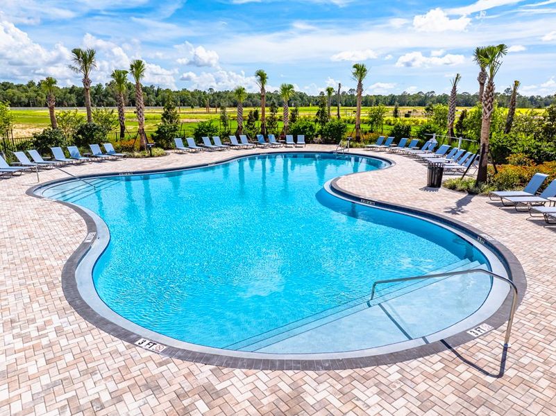 Community amenities in Palm Wind, Hudson (Image 5).