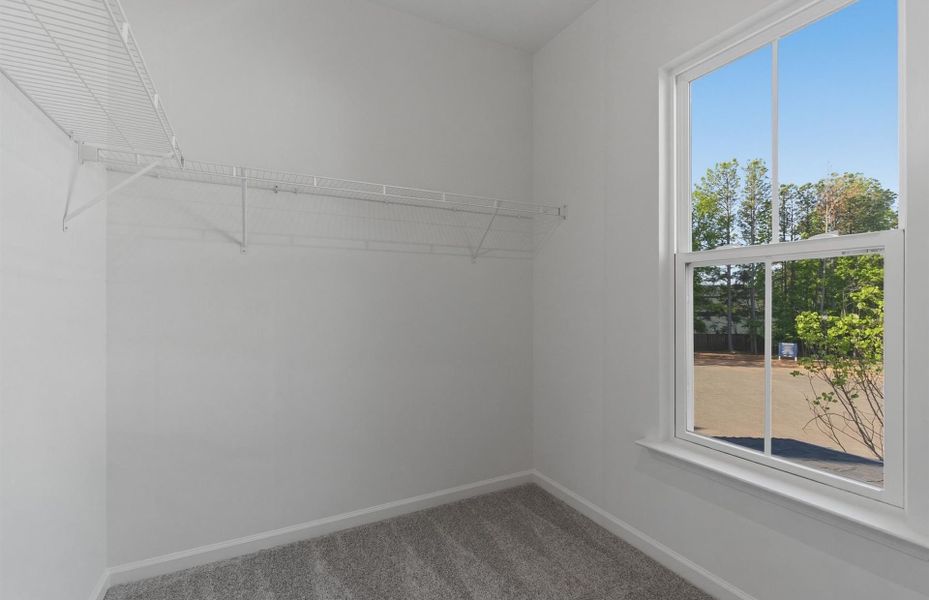 Spacious, unfurnished interior of a new home in Alston Park, Greenville (Image 20).