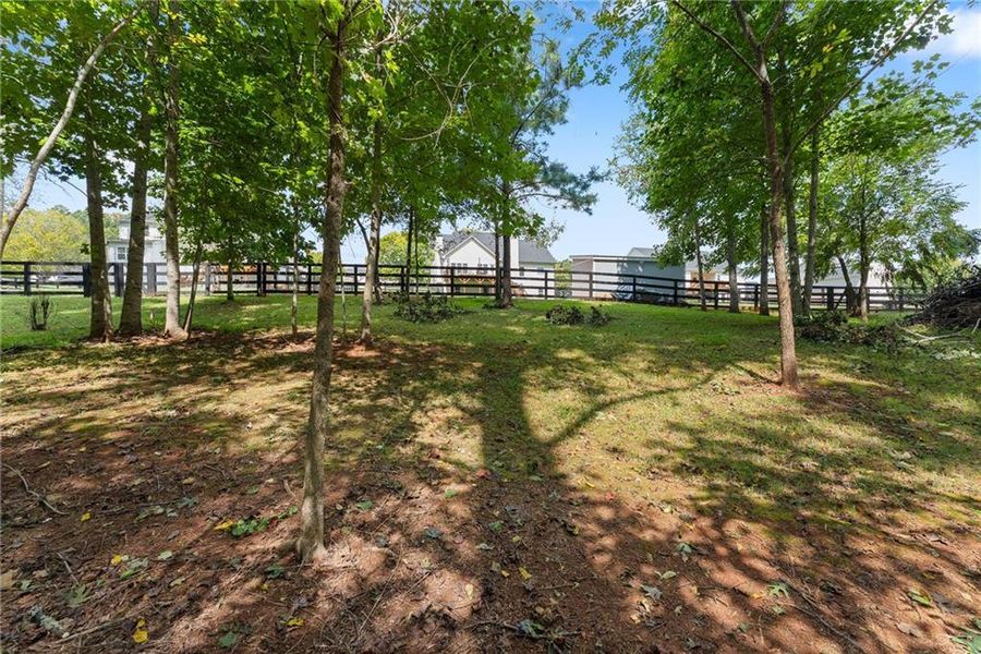 Natural landscape and outdoor views near  in Dawsonville (Image 66).
