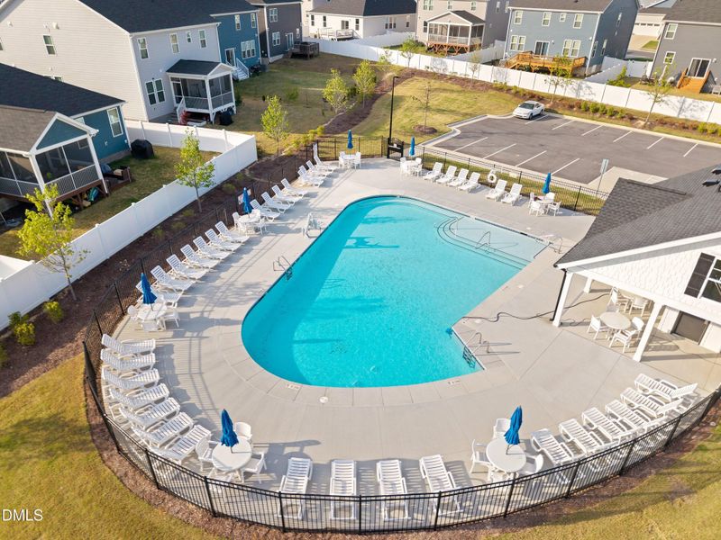 12-313 Spelt - Community_ (7)