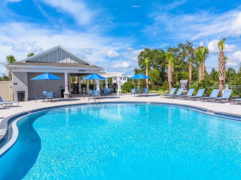 Community amenities in Palm Wind, Hudson (Image 9).
