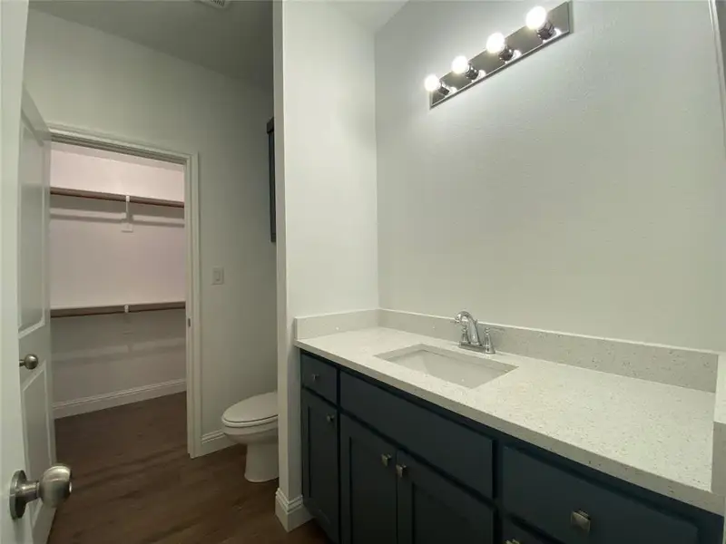 Bathroom featuring vanity, a walk in closet, and dark wood-style floors Bathroom featuring vanity, a walk in closet, and dark wood-style floors