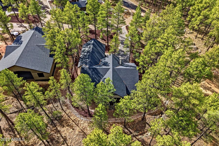 2400WBenchRd-ShowLow-AZ-35