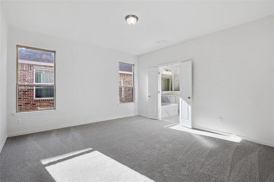 Empty room with carpet flooring and a wealth of natural light