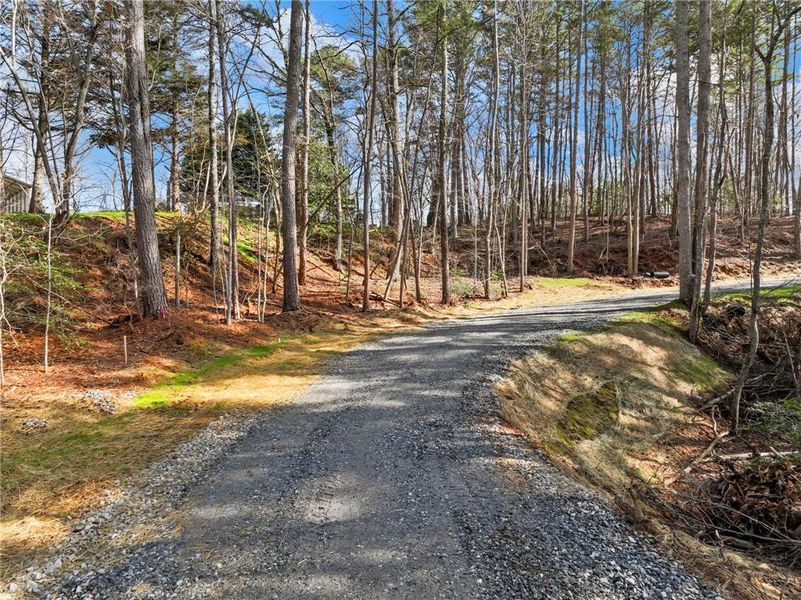 Natural landscape and outdoor views near  in Lula (Image 32).