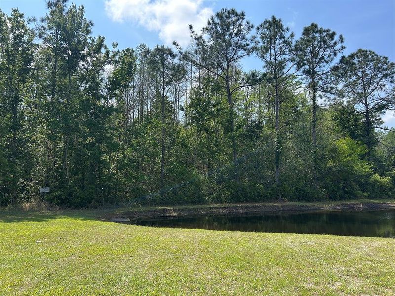 Natural landscape and outdoor views near  in New Port Richey (Image 11).