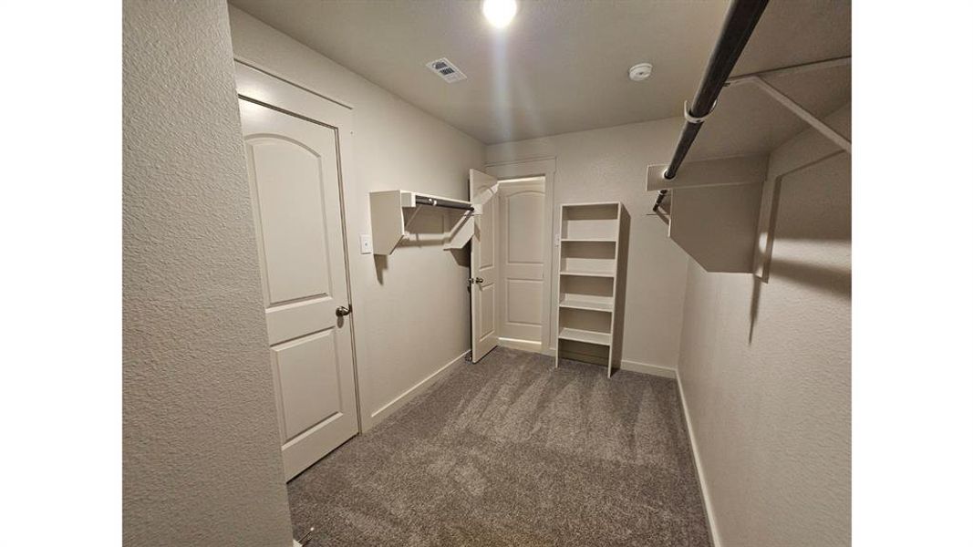 Walk-in closet featuring plush gray carpeting, white built-in shelving, white walls, white trim, and white doors with dark hardware Walk-in closet featuring plush gray carpeting, white built-in shelving, white walls, white trim, and white doors with dark hardware