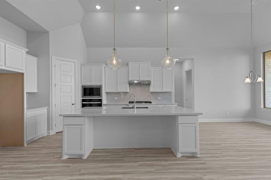 DAL_Myrtle Creek_Natalia_265 Basketflower (8)