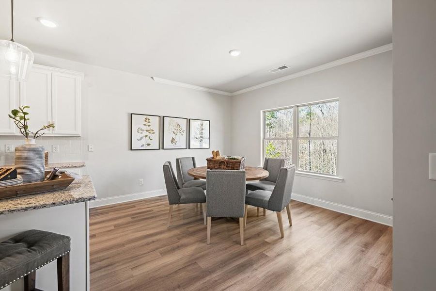 Furnished interior view inside a new home in , Homer (Image 36). Furnished interior view inside a new home in , Homer (Image 36).