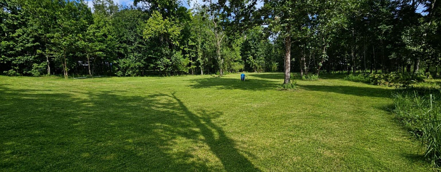 Natural landscape and outdoor views near  in Eutawville (Image 14).