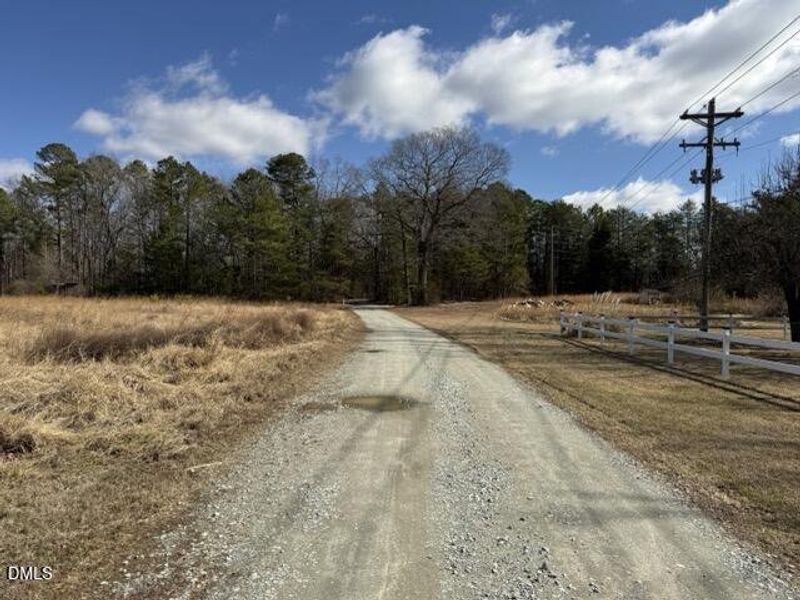 IMG_3216 Medium IMG_3216 Medium