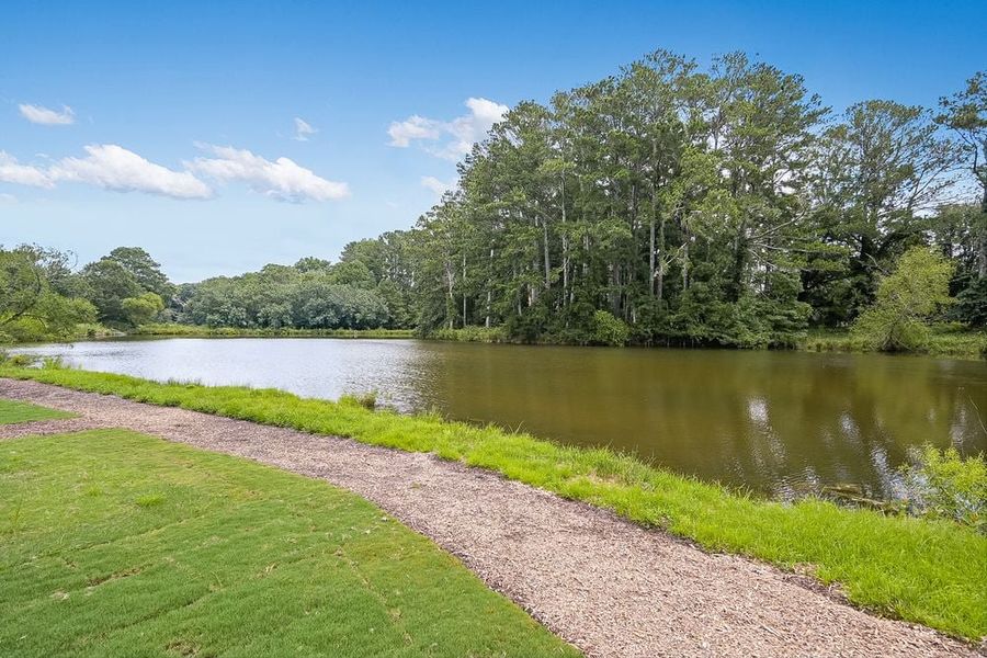 Natural landscape and outdoor views near Windance Lake in Loganville (Image 40).