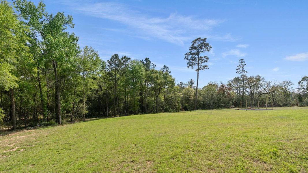 Natural landscape and outdoor views near  in Montgomery (Image 40).