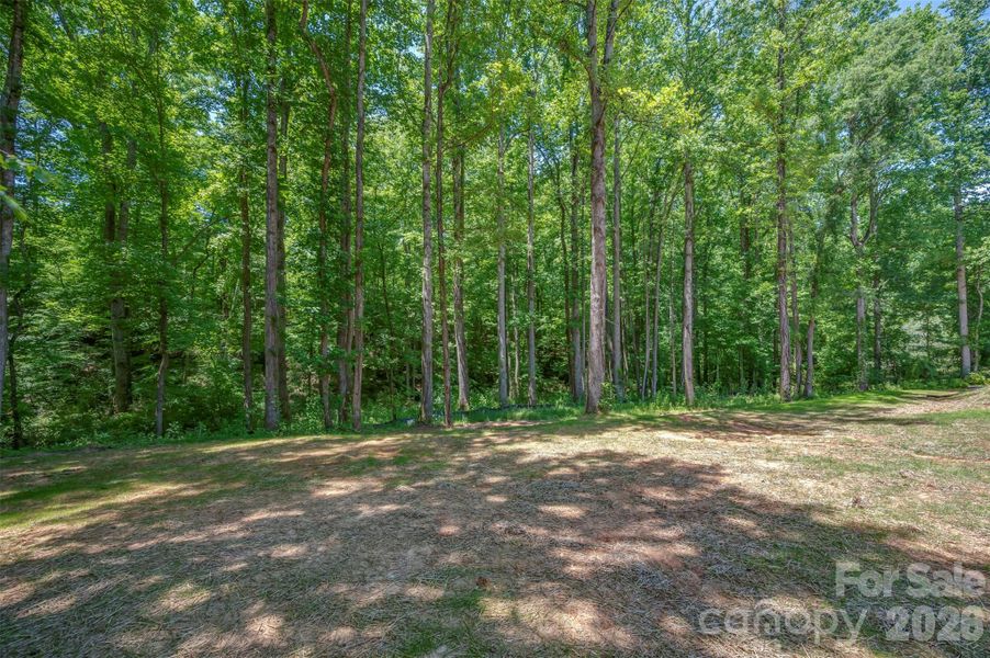 Natural landscape and outdoor views near  in Bostic (Image 31).