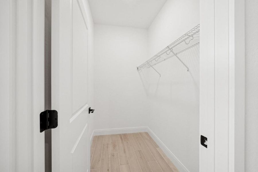 10235DreamweaverRd_2007_Large