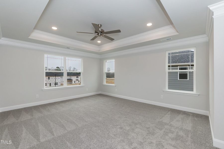 Rendition photo of representation