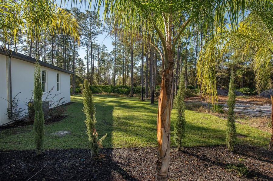 Natural landscape and outdoor views near  in Eustis (Image 46).