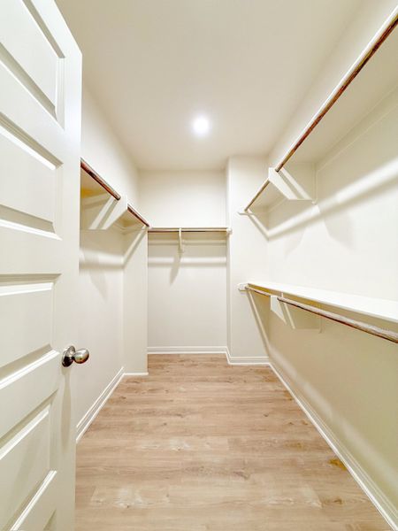 Spacious, unfurnished interior of a new home in TerraVista, Victoria (Image 35).