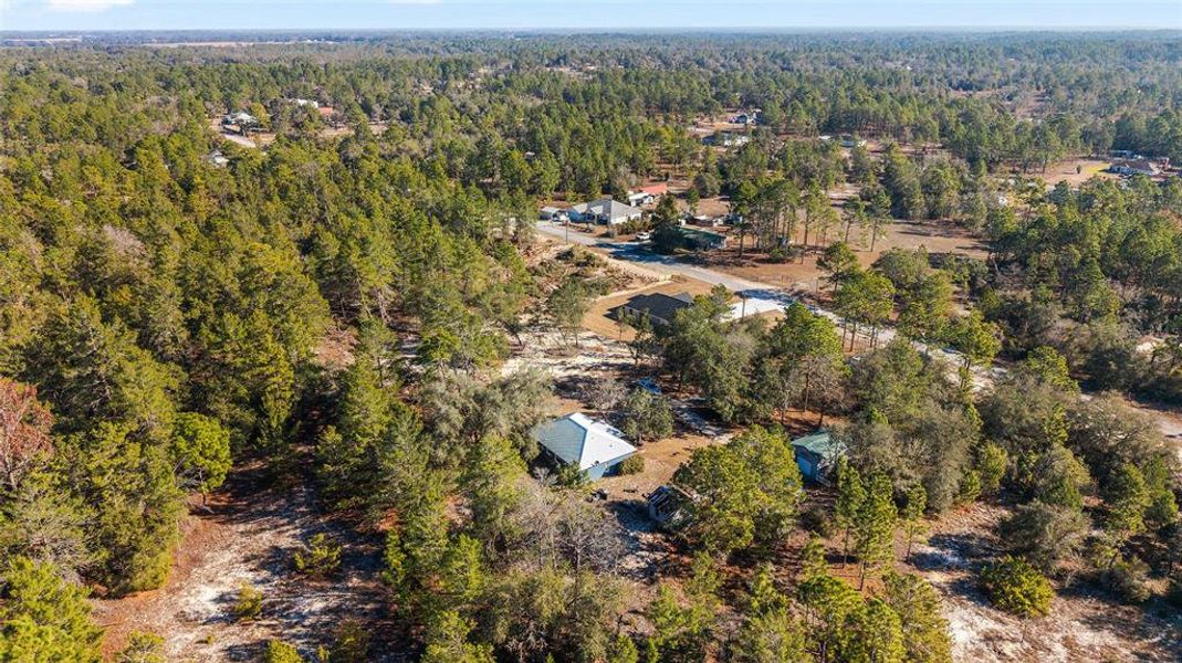 Natural landscape and outdoor views near  in Dunnellon (Image 46).