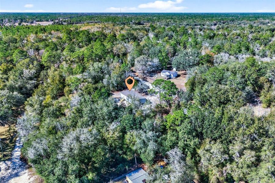 Natural landscape and outdoor views near  in Williston (Image 38).