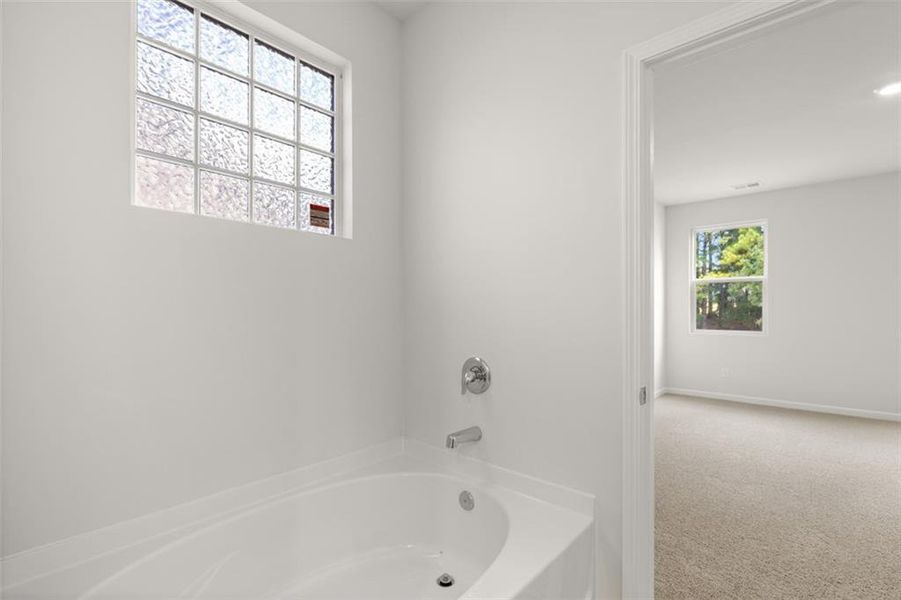 Image 71 of a home in Fairway 17 at Mirror Lake.