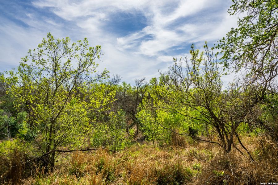 Natural landscape and outdoor views near in Crystal City (Image 27). Natural landscape and outdoor views near in Crystal City (Image 27).