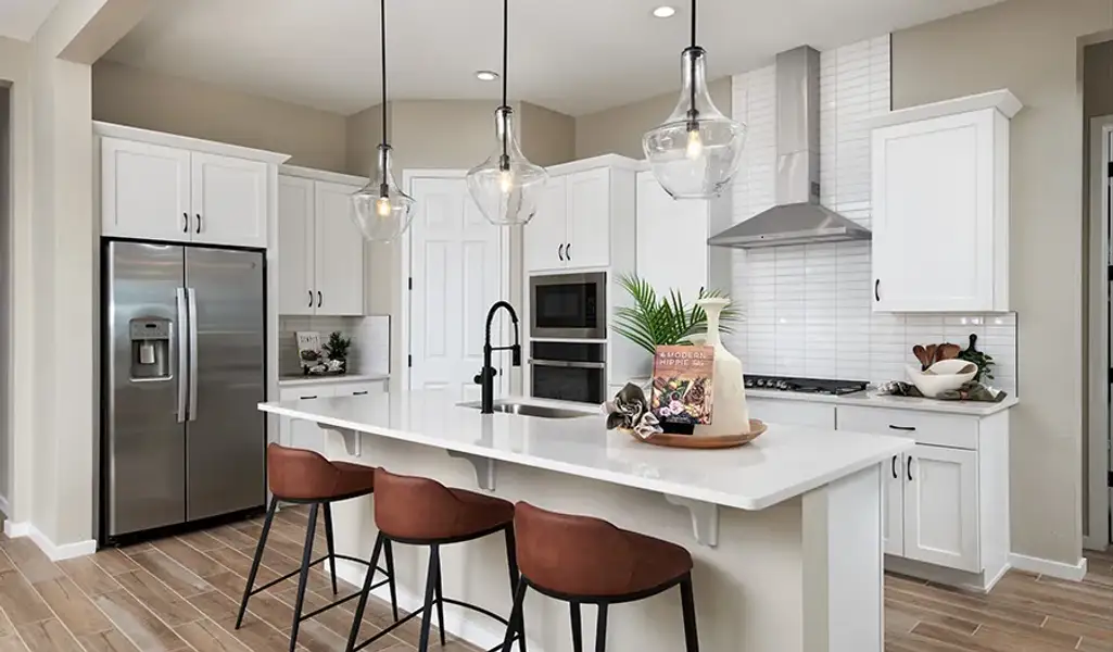 Darius-EstatesatLaveenVistas Kitchen