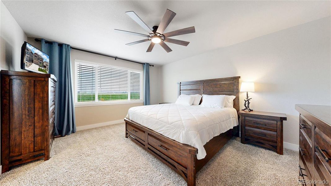 Furnished interior view inside a new home in Ravina, Windsor (Image 20). Furnished interior view inside a new home in Ravina, Windsor (Image 20).