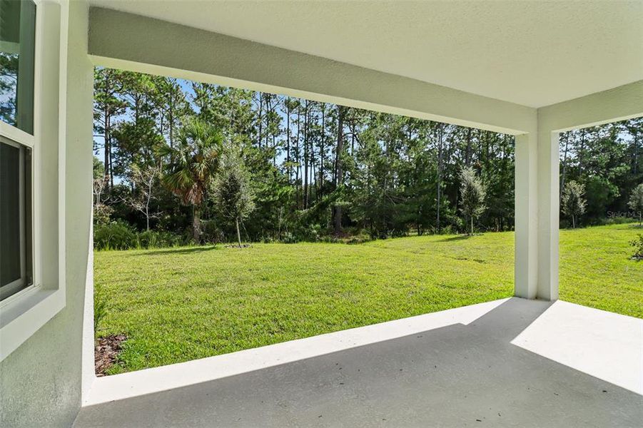 Exterior details and patio area of a home in Ridgehaven - Reserve Series, Ormond Beach (Image 4).