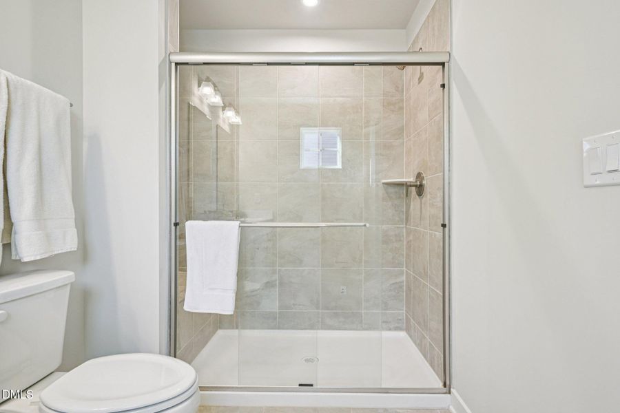 34-web-or-mls-matthiola-S1301-034