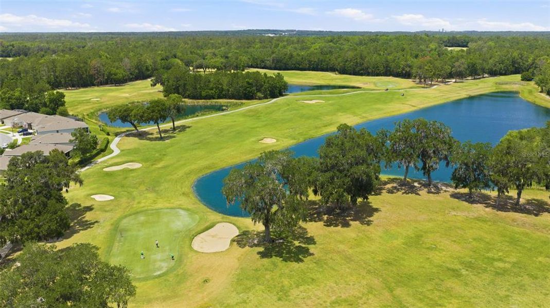 Natural landscape and outdoor views near  in Brooksville (Image 36).