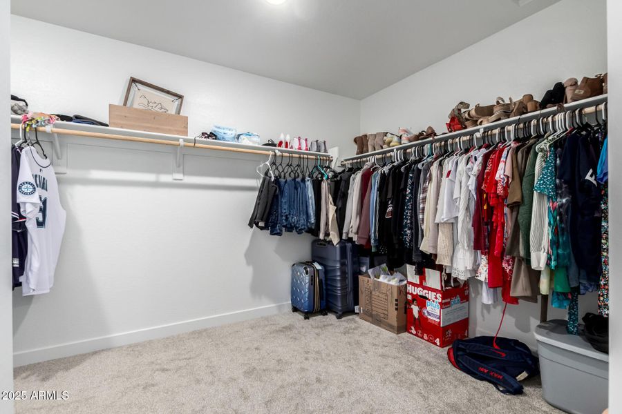 18 - Seldon 18 - Seldon