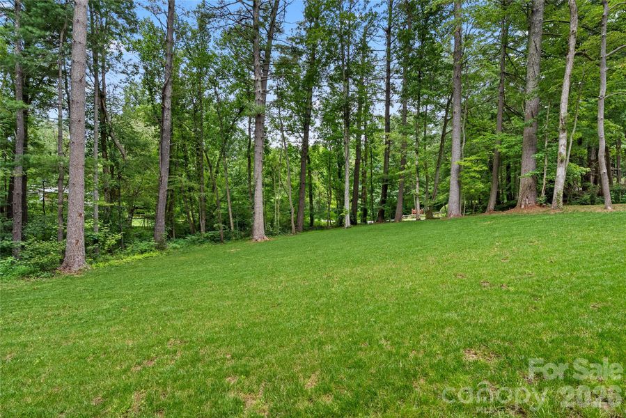 Natural landscape and outdoor views near  in Arden (Image 31).