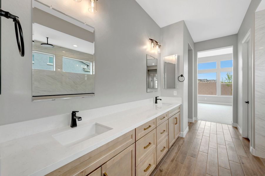 Owner's Bath
