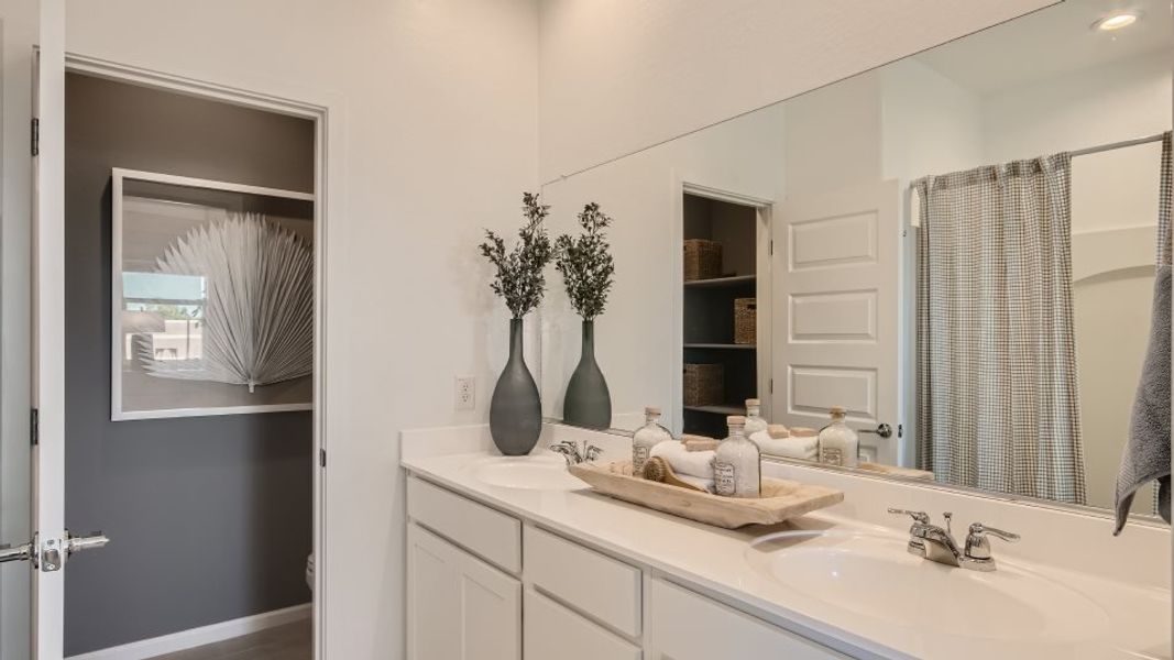 Owner Bathroom Vanity