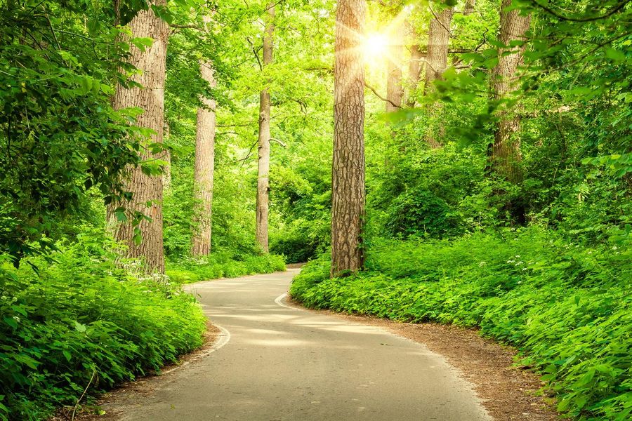 Natural landscape and outdoor views near  in Montgomery (Image 16).