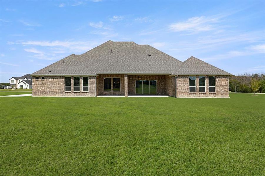 27. 409 Spoonbill - Back