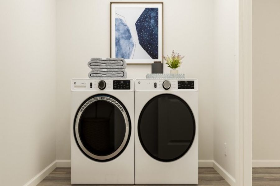 A white wall with a washing machine and a plant on it.
