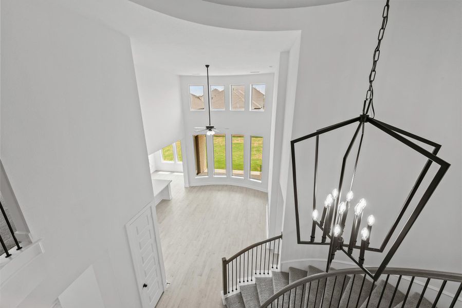 REPRESENTATIVE PHOTOS