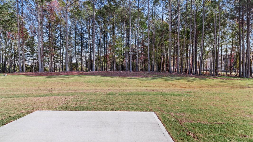 Outdoor and nature views near homes built from the ARIA Express by D.R. Horton in WillowBrook, Winder (Image 26).