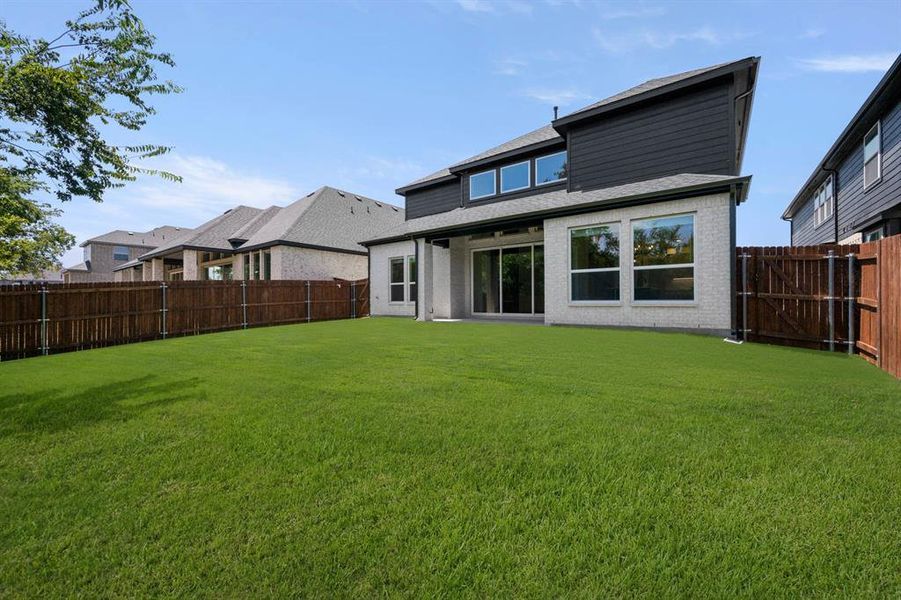 2207 Pelican- Back-1 2207 Pelican- Back-1