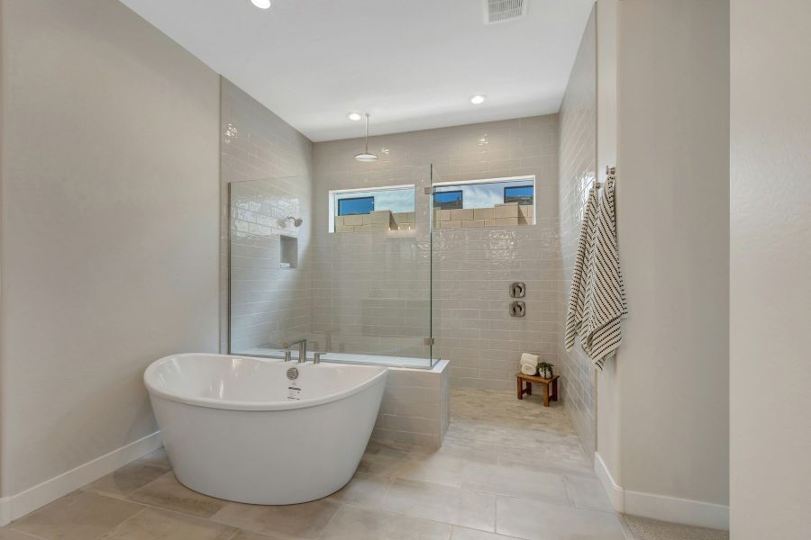 Owner's Bath
