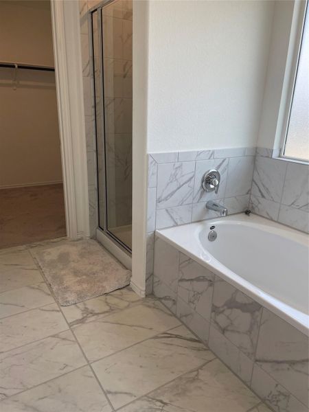 Main Bathroom with separate bathtub and walk-in shower Main Bathroom with separate bathtub and walk-in shower