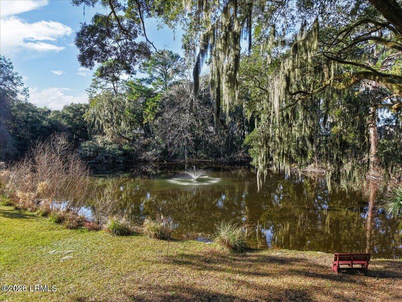 Natural landscape and outdoor views near  in Beaufort (Image 85).