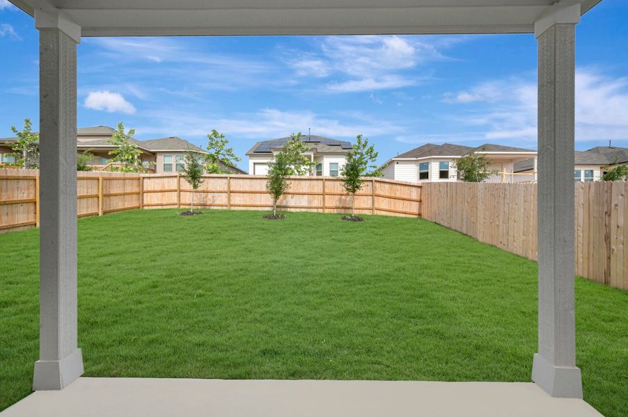 Backyard Backyard