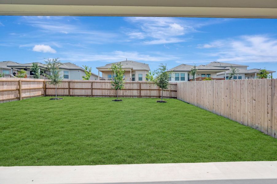 Backyard Backyard