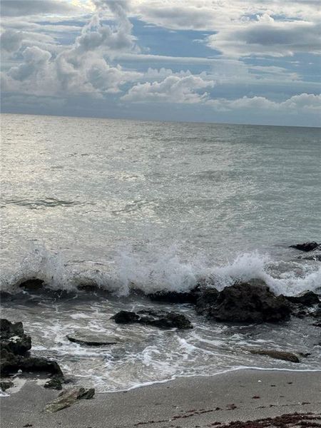 Natural landscape and outdoor views near  in Sarasota (Image 7).
