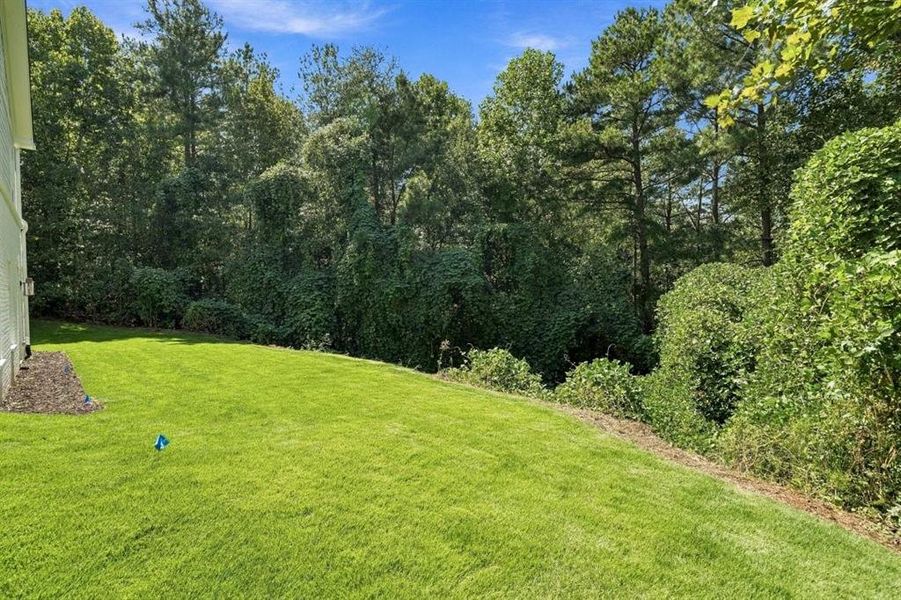 Natural landscape and outdoor views near  in Roswell (Image 89).