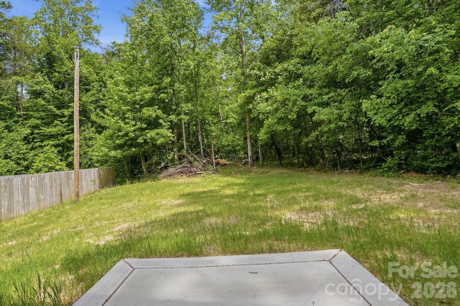 Natural landscape and outdoor views near  in Statesville (Image 46).