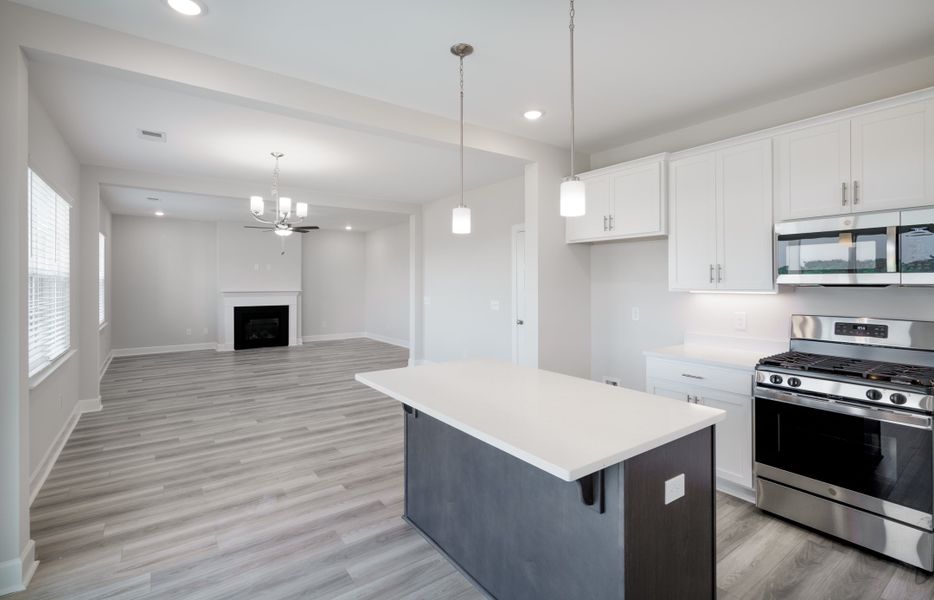 Representative furnished interior of a home built from the The Holland by Cothran Homes in Holly Ridge, Greenville (Image 7).